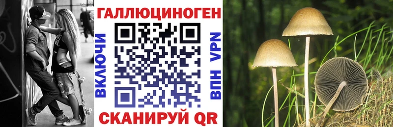 Псилоцибиновые грибы мухоморы  Купить закладки  Орск 